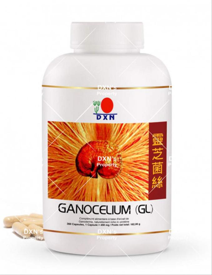DXN – Reishi GL 360