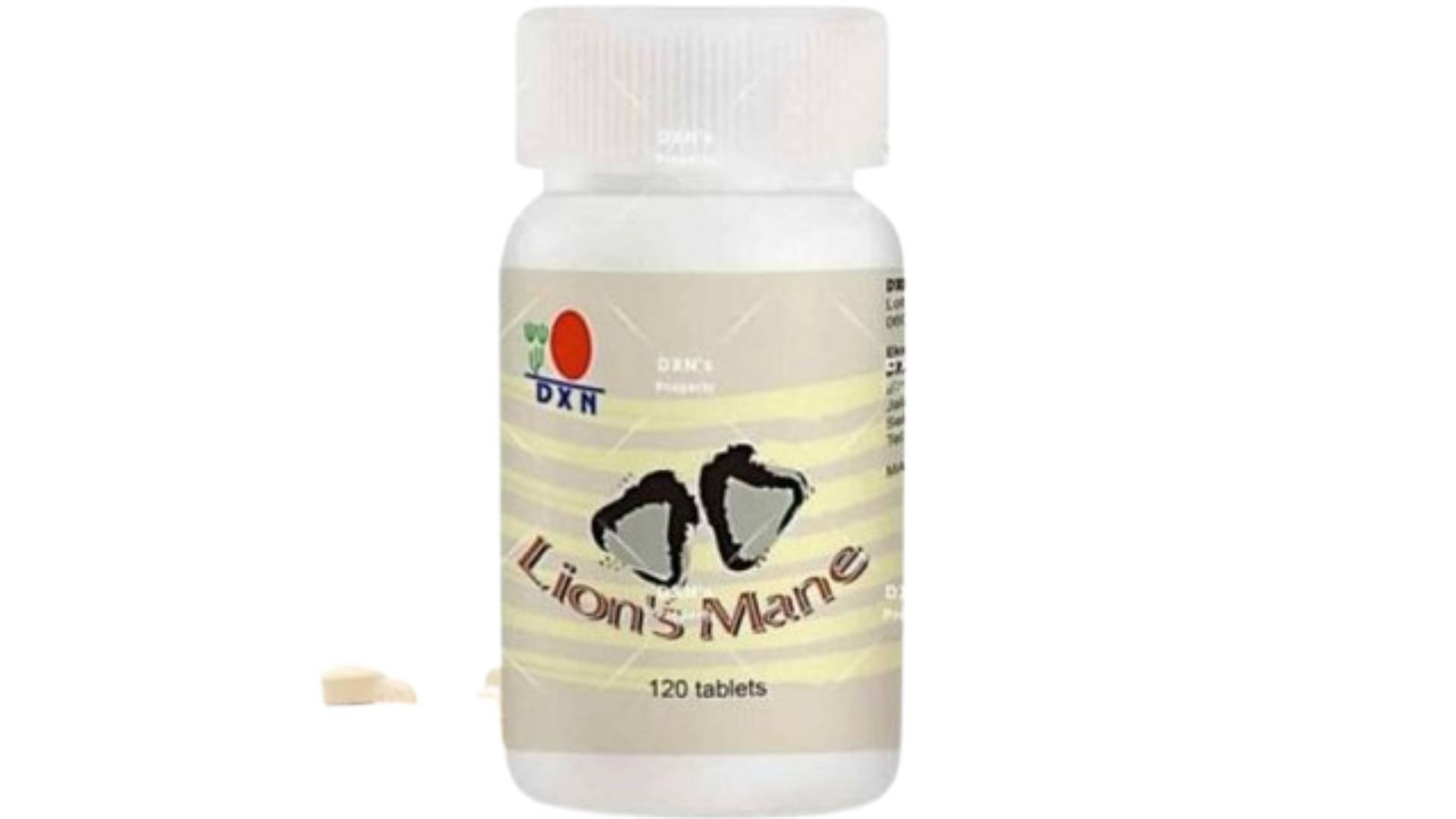 Lion’s Mane DXN : Le complément naturel pour renforcer l’immunité et la vitalité